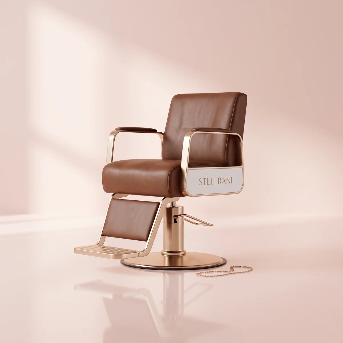 Salon Chair Classic Elegance